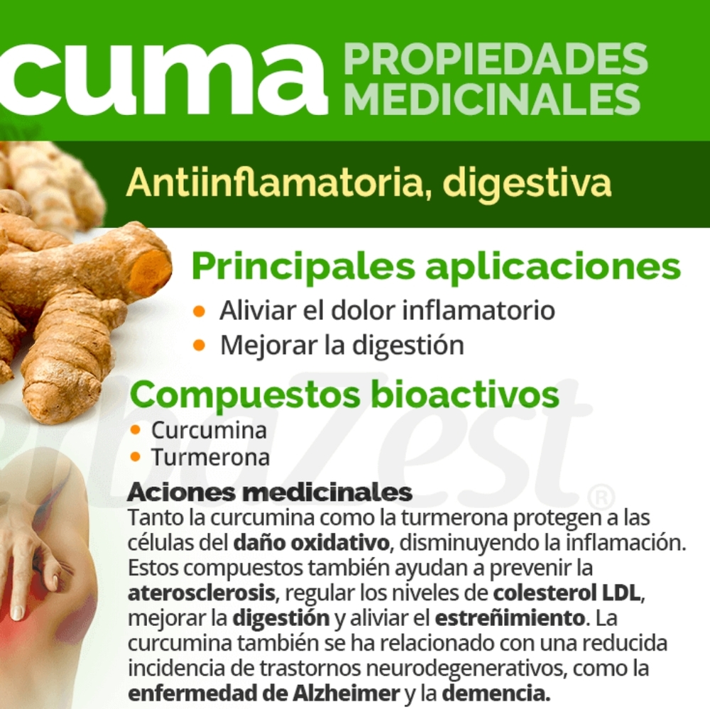 Turmeric ( Curcuma) - Picture 6 of 6